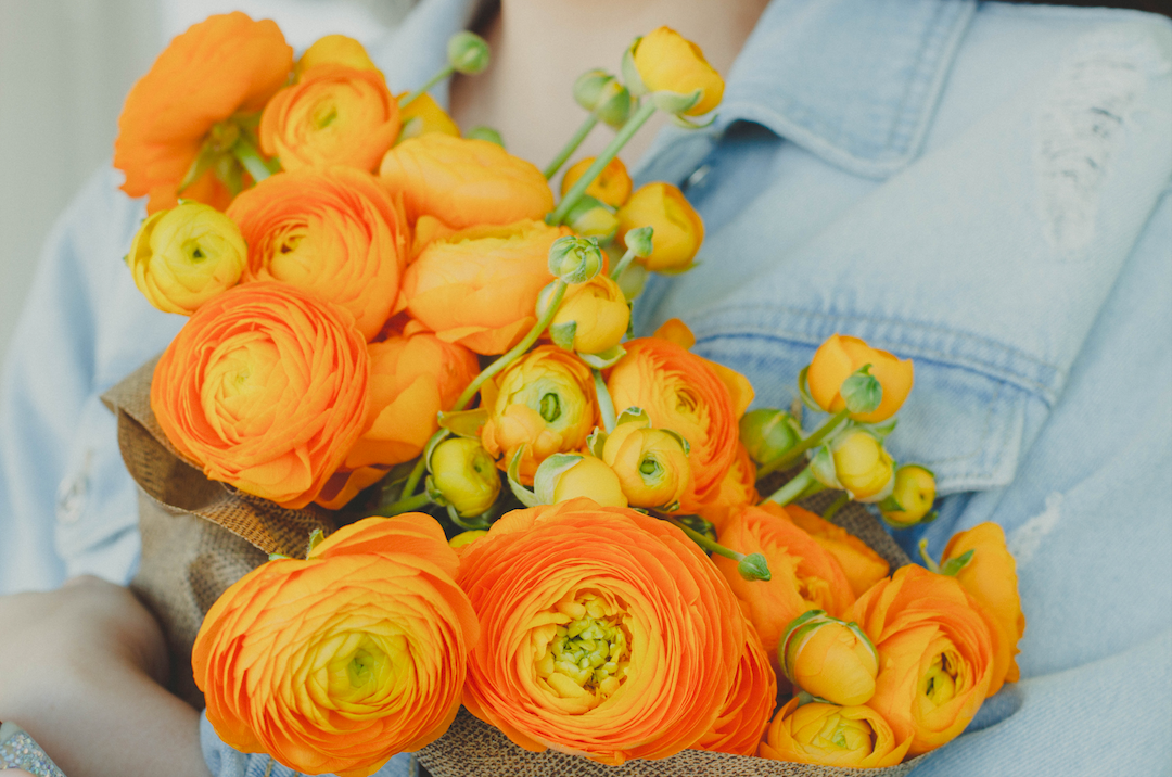 Ranunculus, a seasonal January flower, in New York City