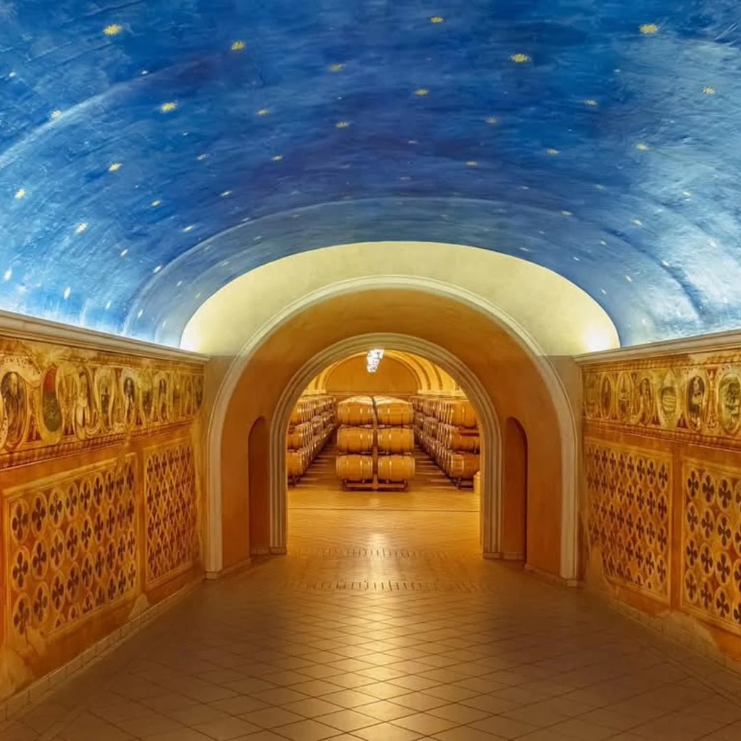 Wine Tasting Degustation