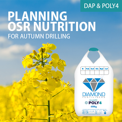 DAP & POLY4 OSR Starter Fertiliser