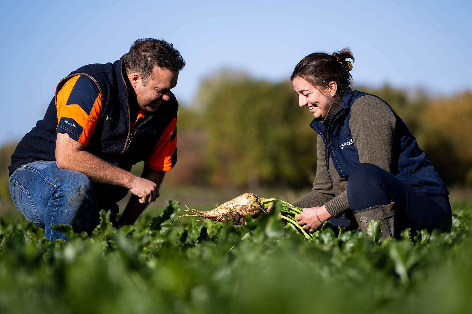 Thomas Bell Fertiliser Ipswich