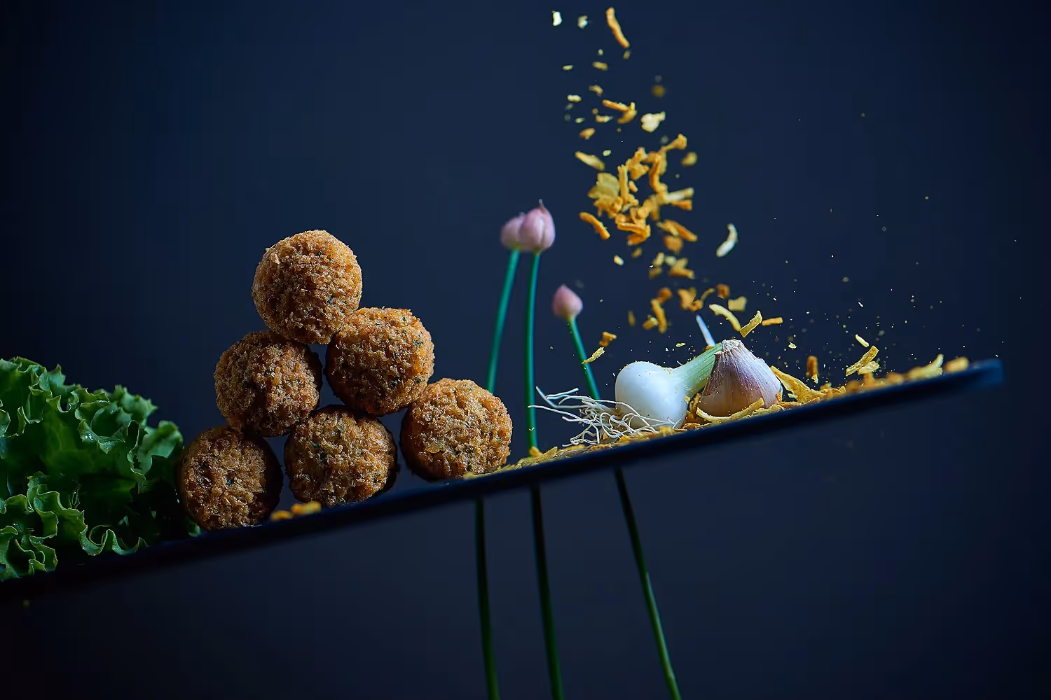 image publicitaire de falafel pour vegetarian quality suisse
