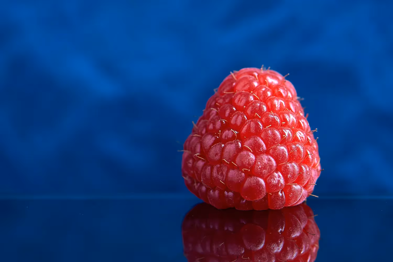 photo de framboise