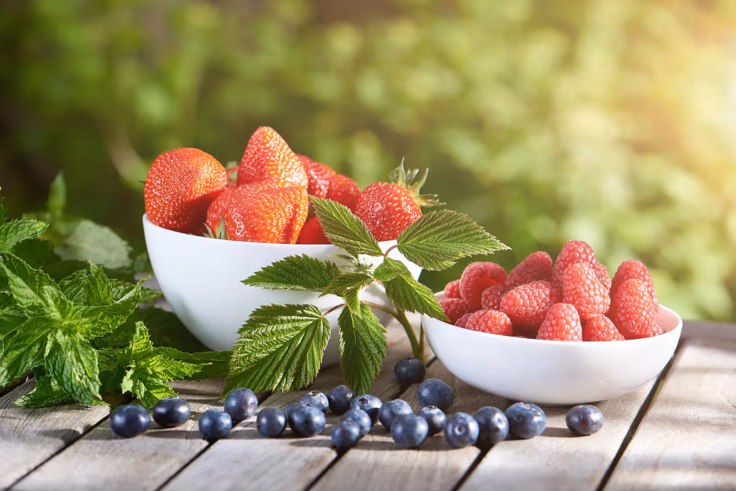 Photo pour un packaging culinaire de yaourt