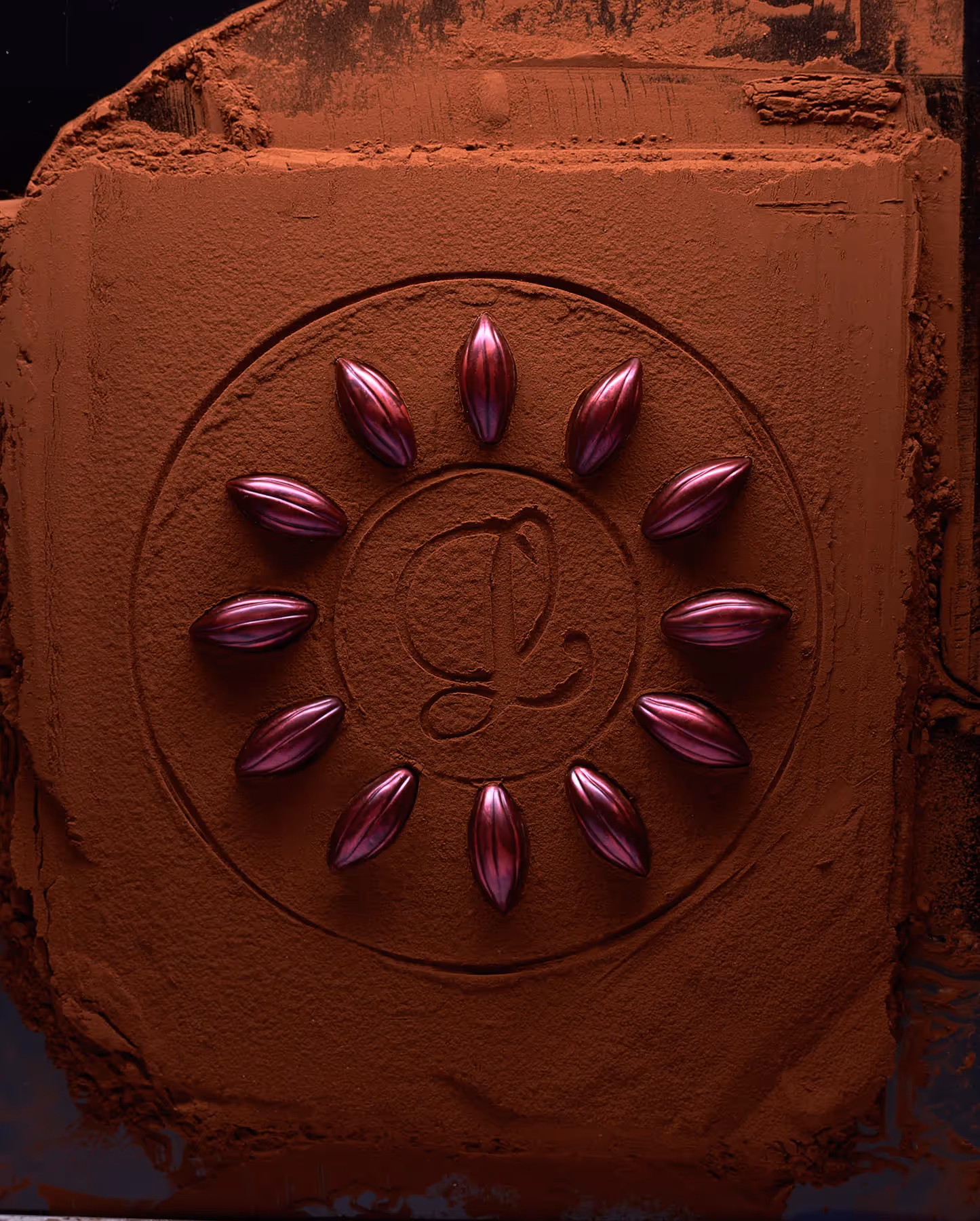 Image de poudre de cacao avec des pralinés fourrés pour le fabricant chocolatier Lemarquis de Blonay en Suisse