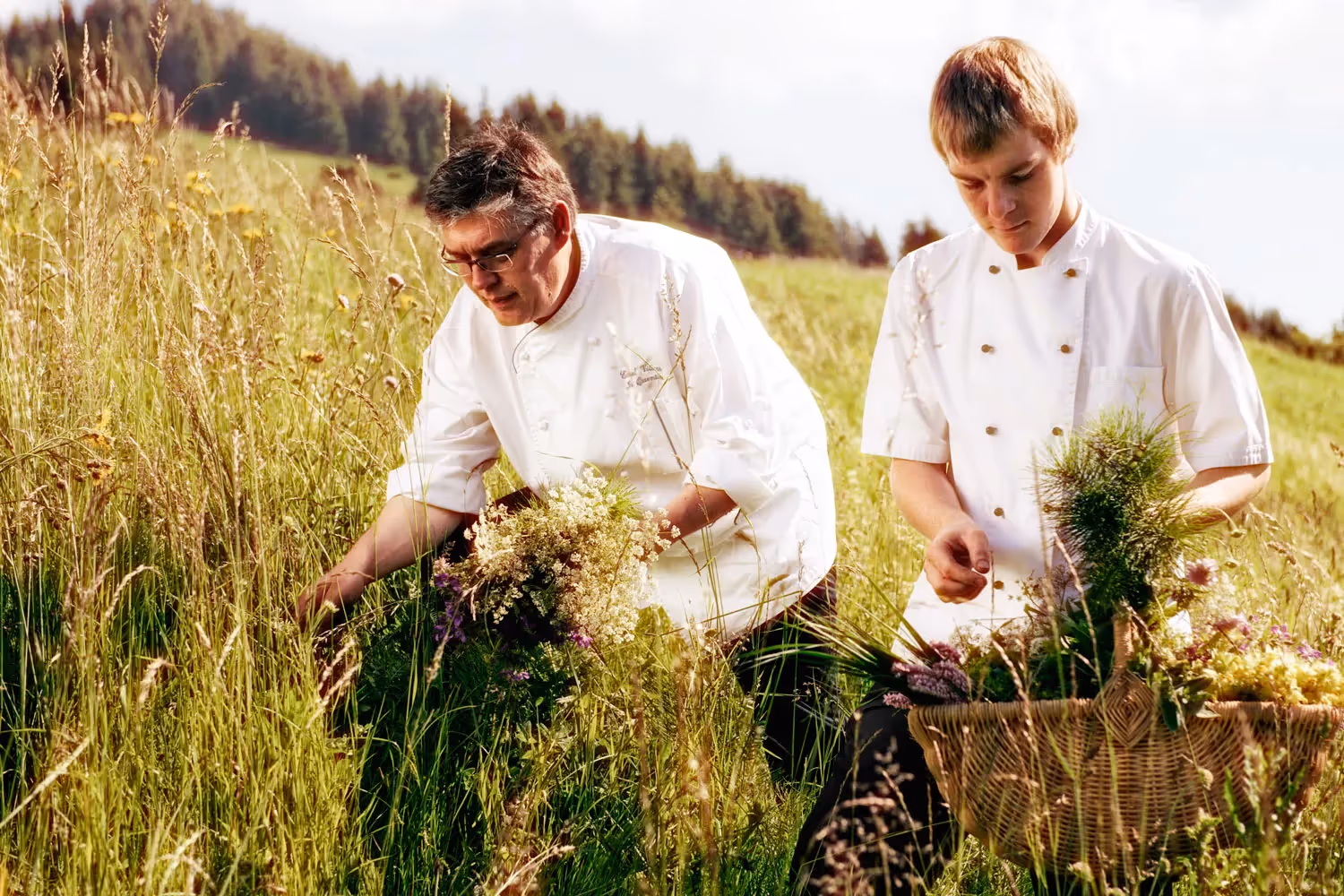 Le chef Joel Quentin en cueillette des herbes pour ses plats
