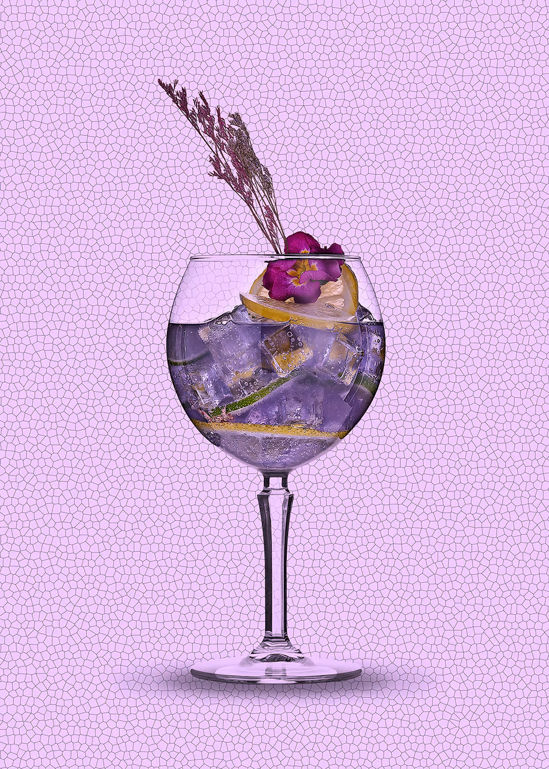 une image d'un Cocktail de la marque cocktalis