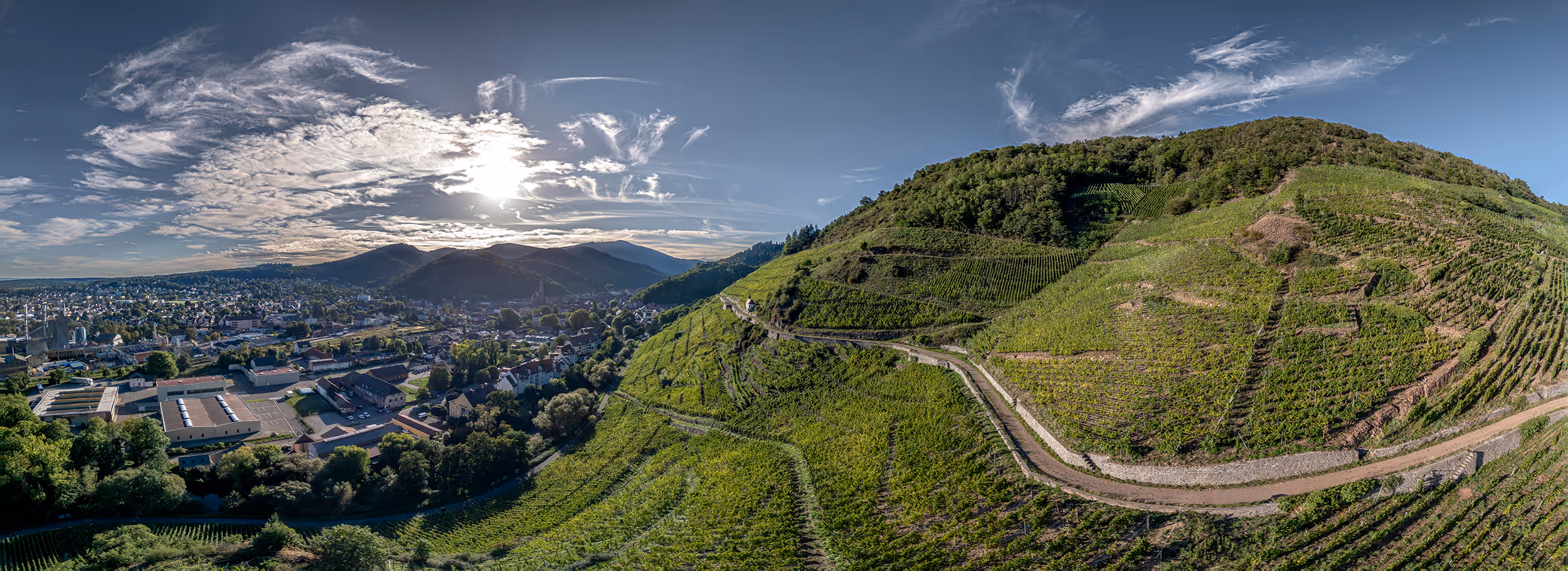 image aérienne du vignoble wolfsberger ragen de thann