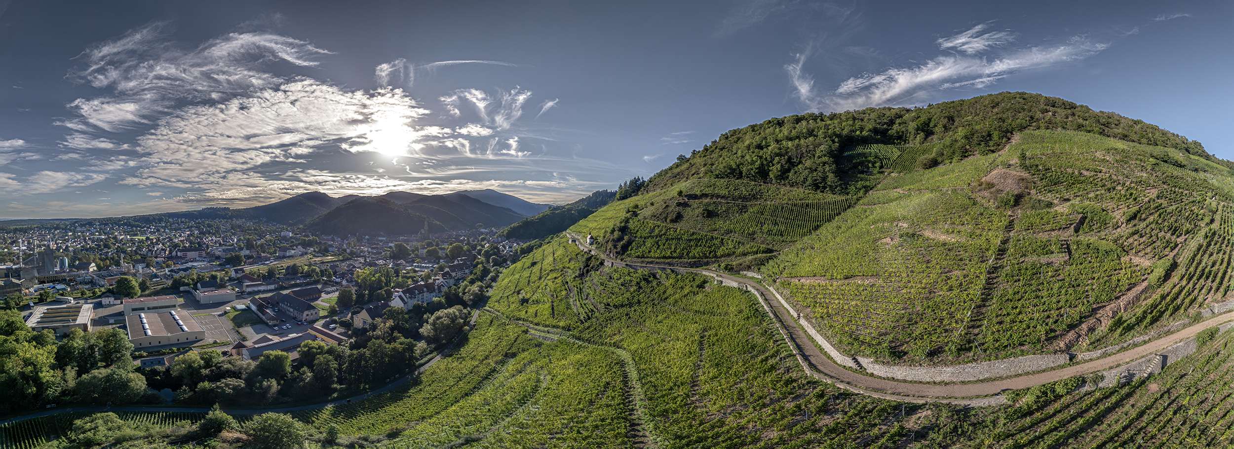 image aérienne du vignoble wolfsberger ragen de thann