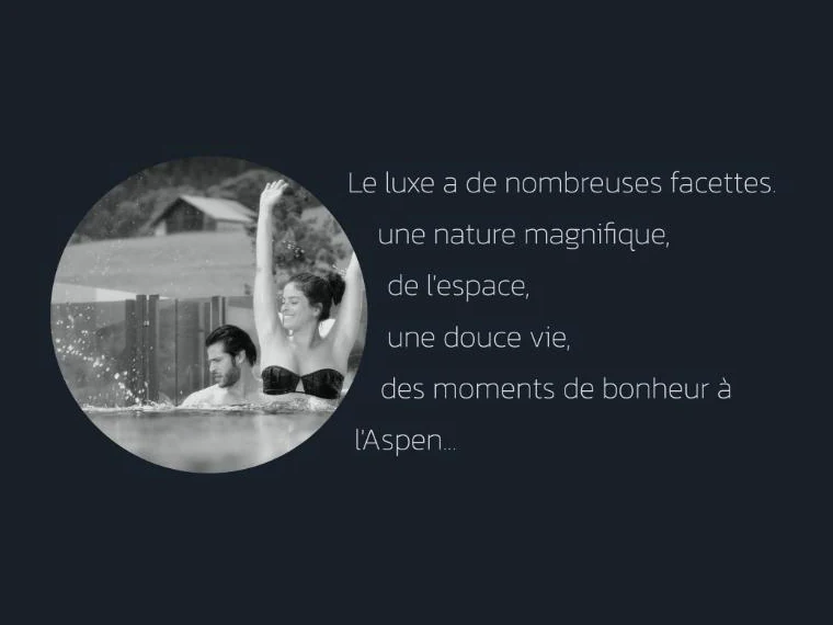 Site web de l’Alpin Lifestyle Hotel Aspen conçu par GRAPHYT – écran 2