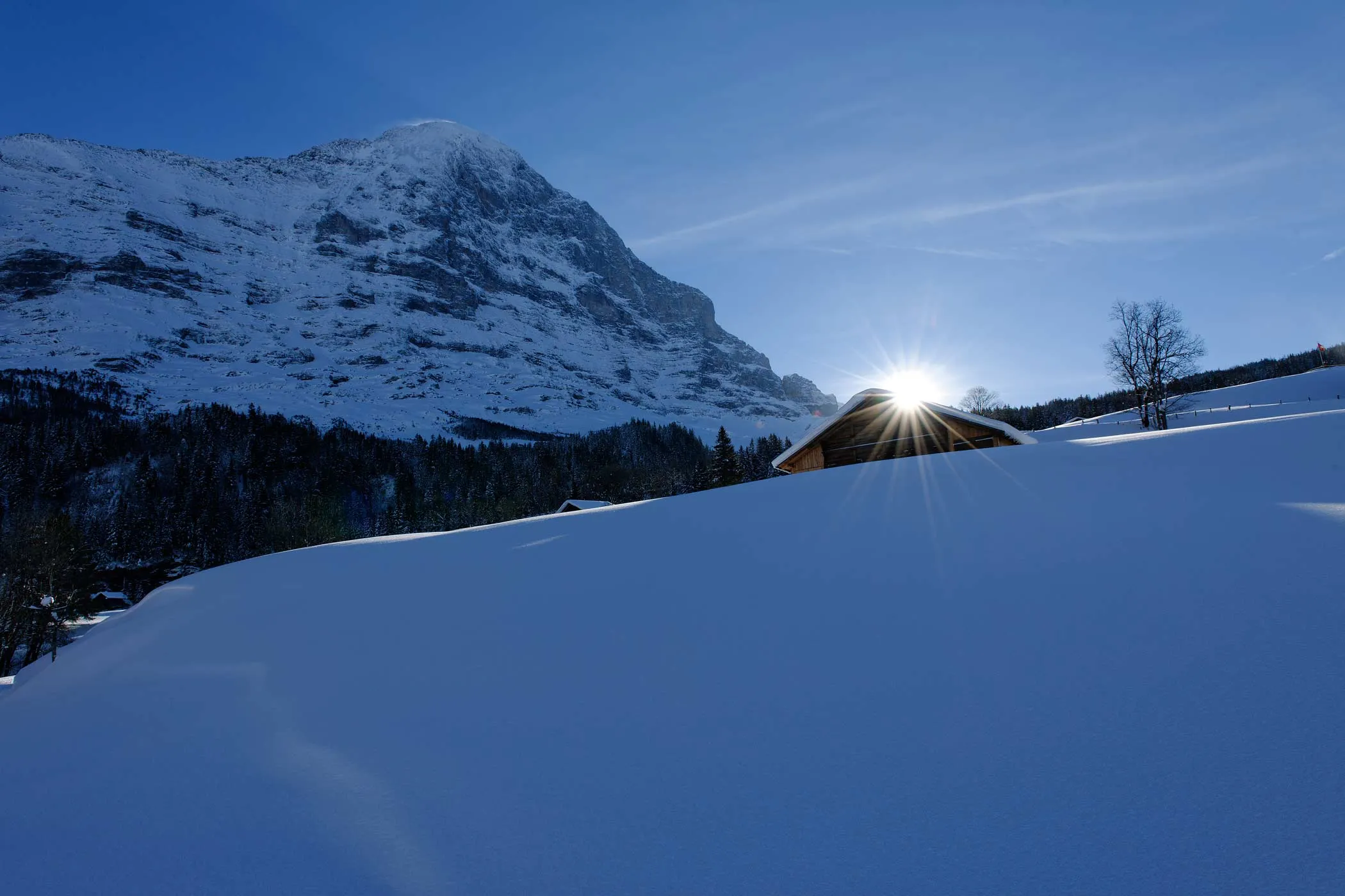 Hotel Aspen, Grindelwald – photo 6 du reportage GRAPHYT