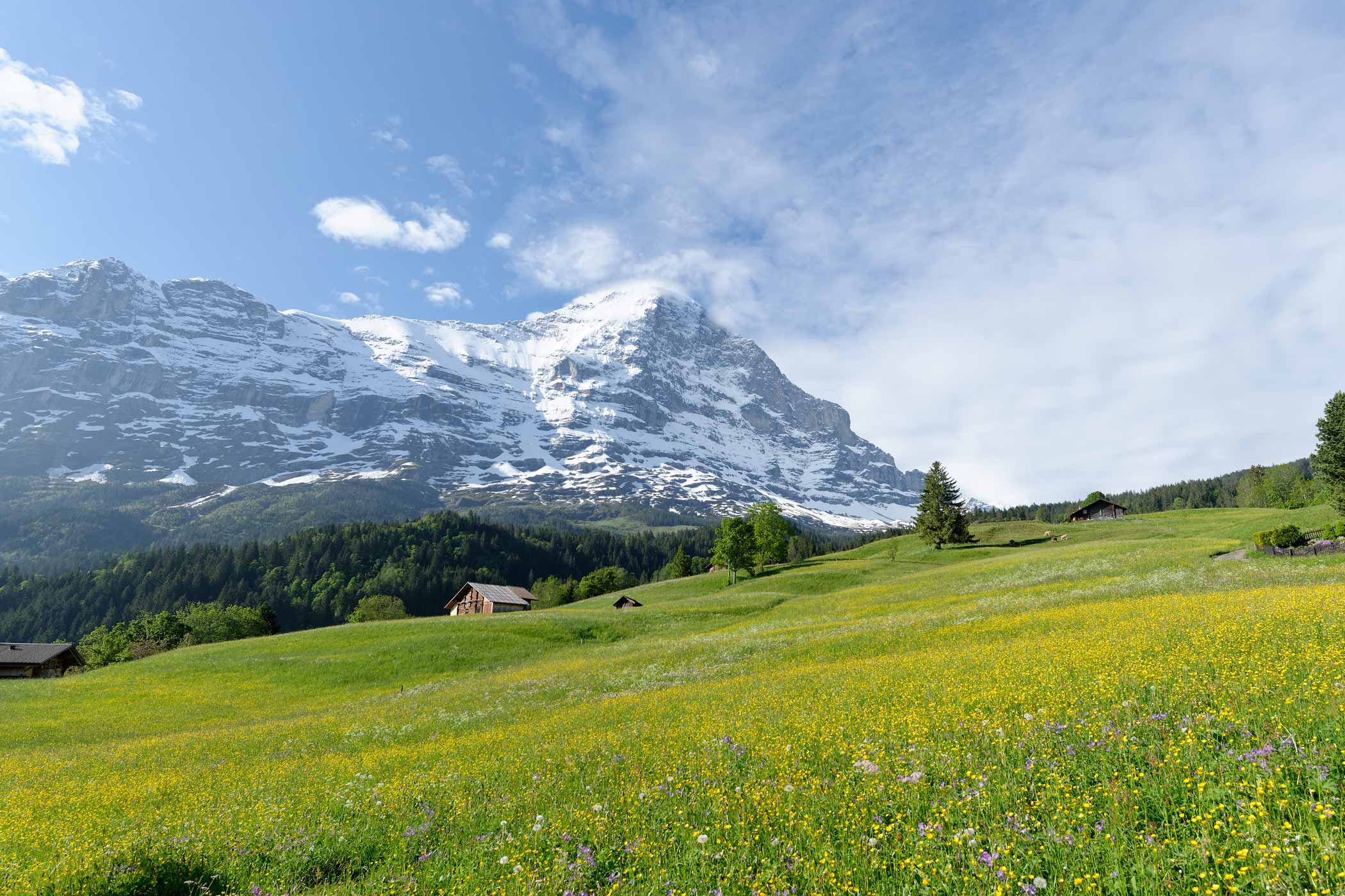 Hotel Aspen, Grindelwald – photo 4 du reportage GRAPHYT