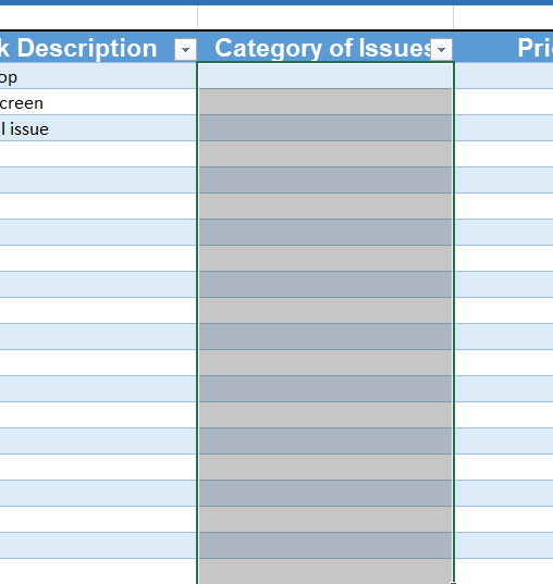 Ticketing system issue category 1