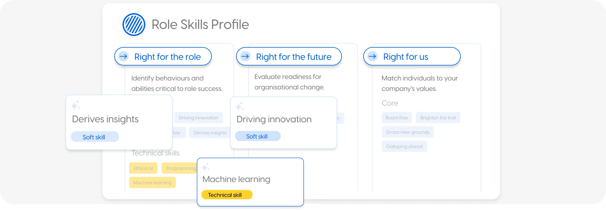 Role Skills Profile