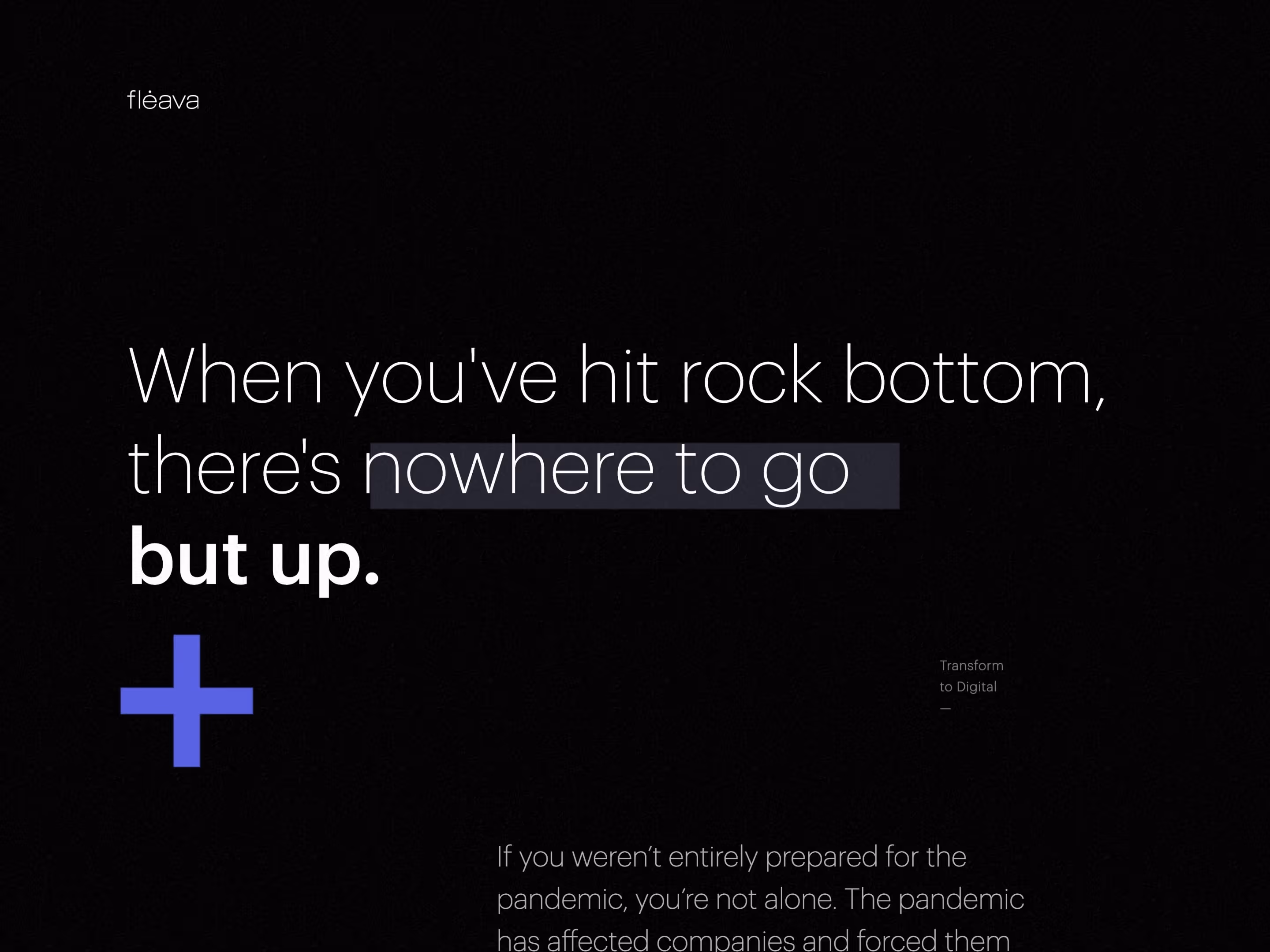 Transform with Fleava