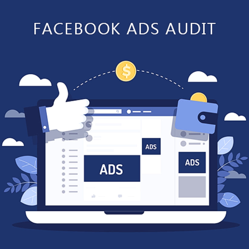 Meta Ads Campaign Audit & Management