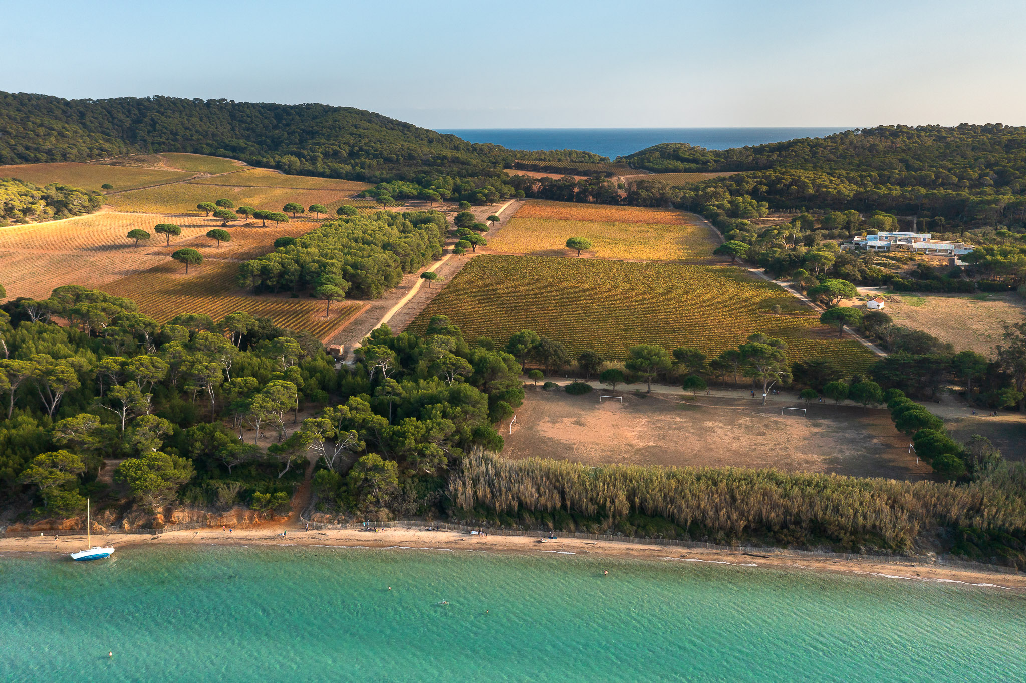 Domaine la Courtade