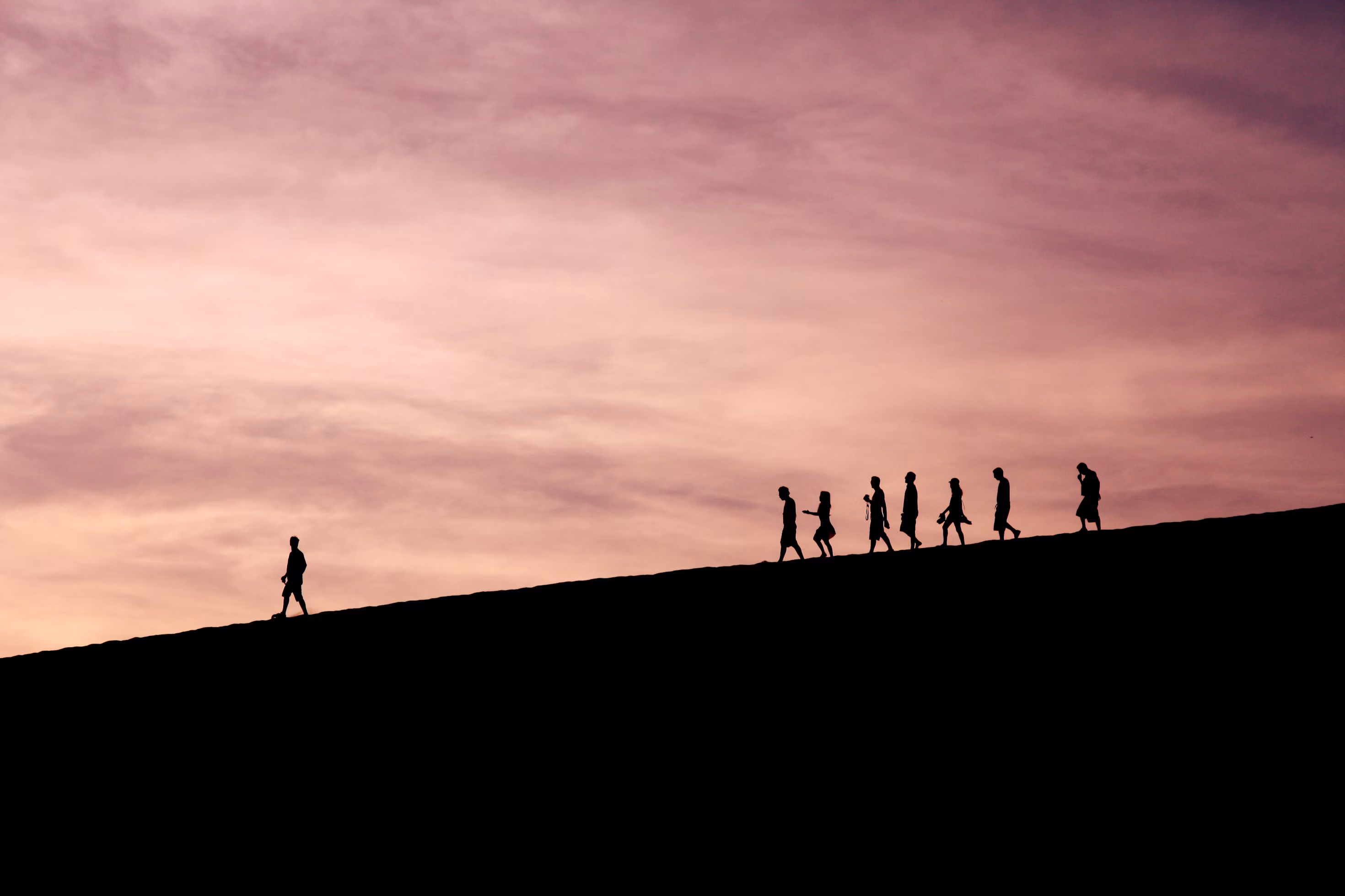What best describes your current leadership need?