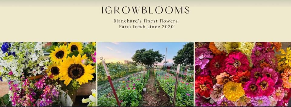 IGrowBlooms Flower Farm and Apiary.