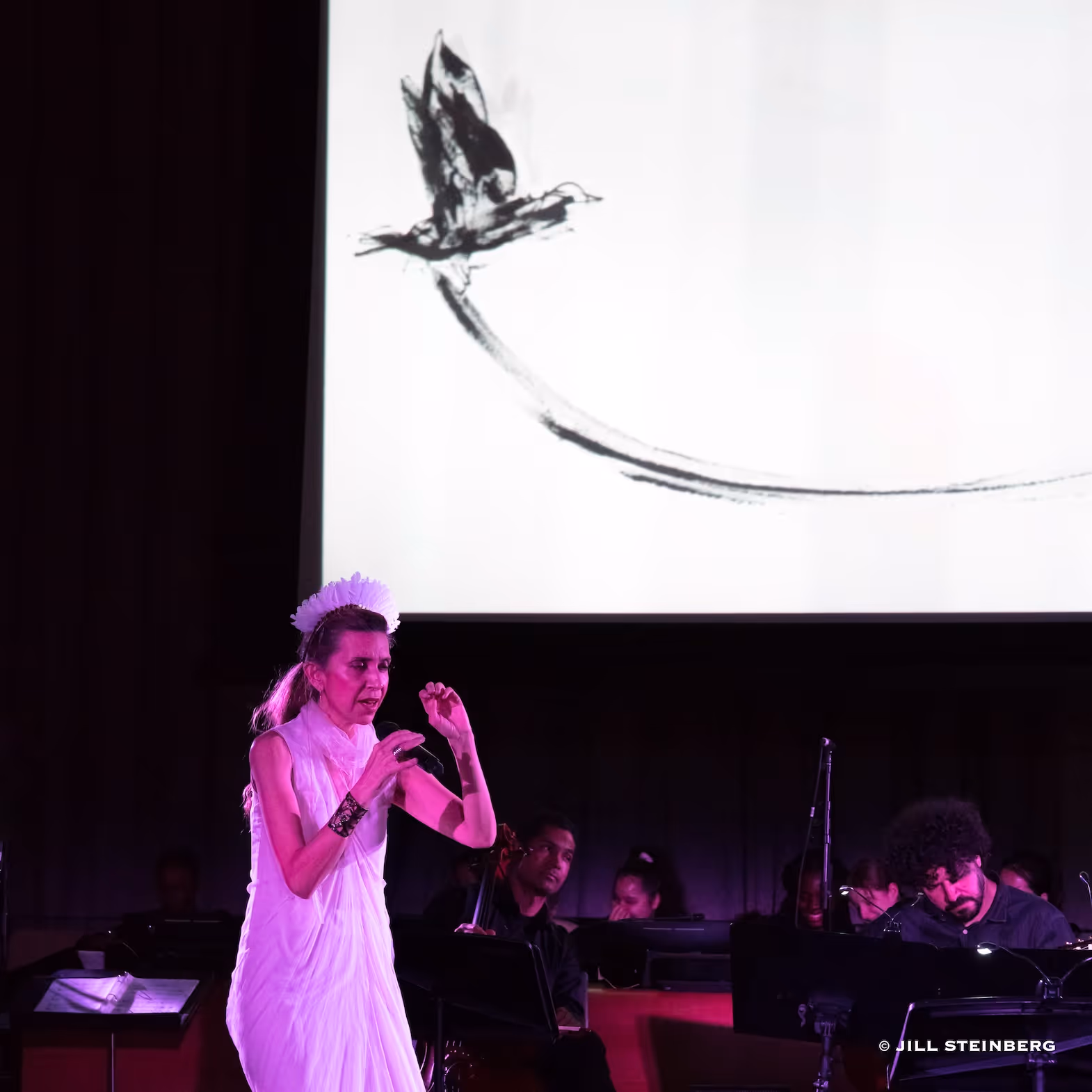 Photo by Jill Steinberg