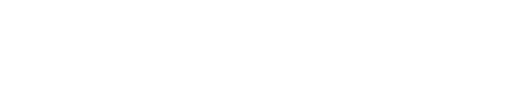 Skyline Cabinetry logo with the company name 'SKYLINE CABINETRY' in bold, uppercase font with a stylized bird symbol.