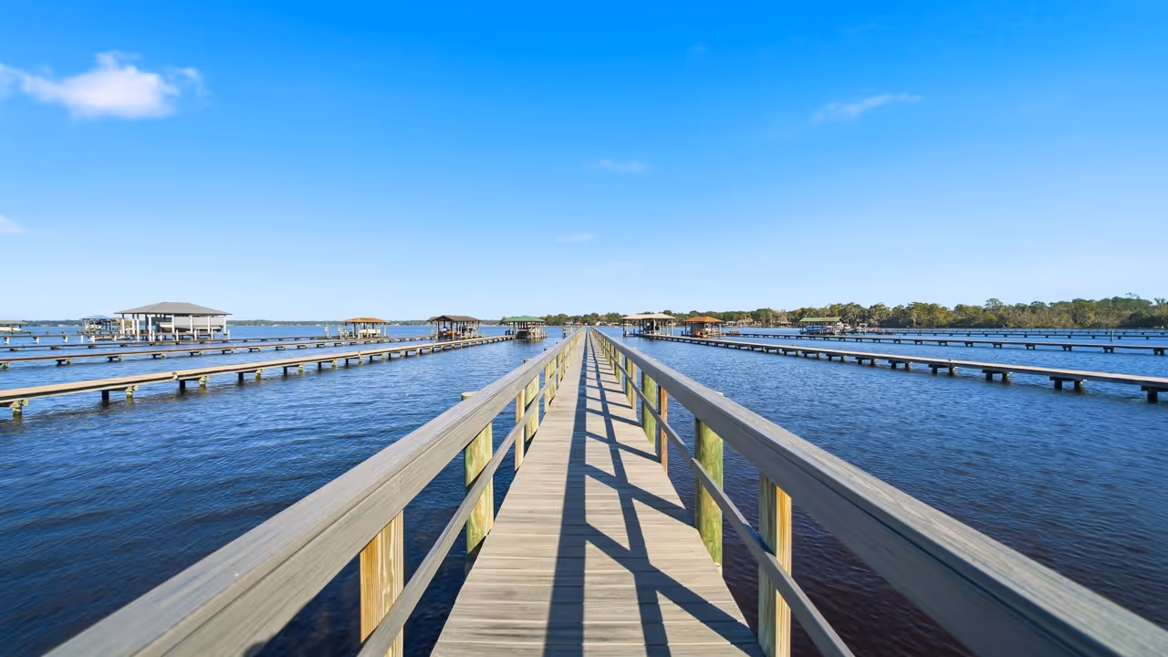 Long wooden dock with rails extending over calm water under a clear blue sky.