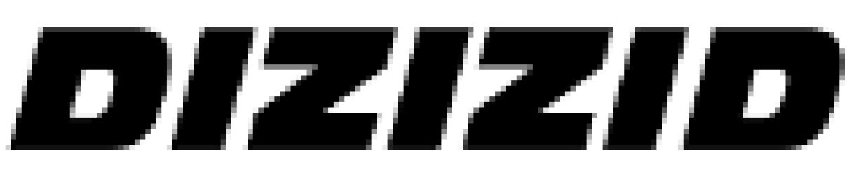 Logo Dizizid