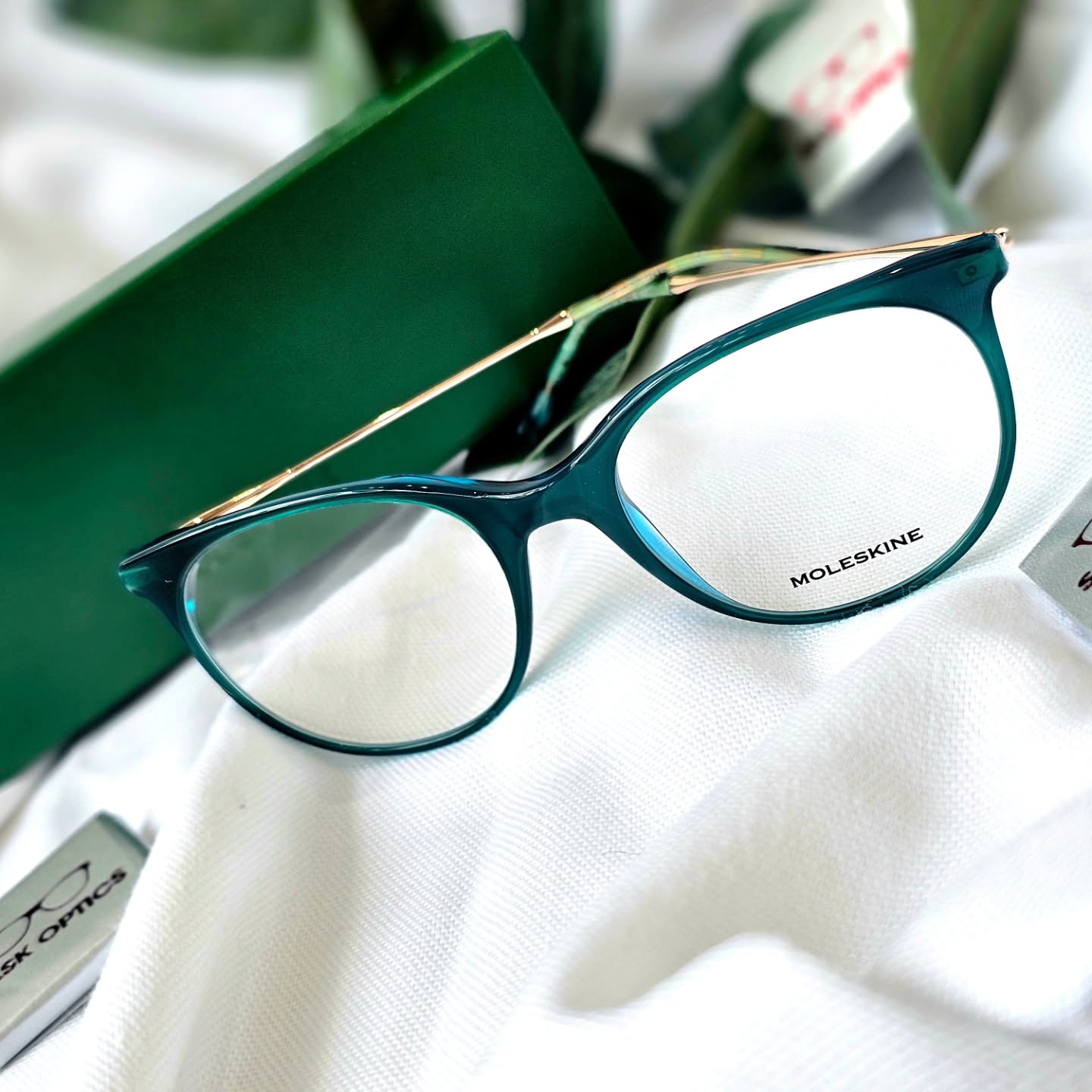 Now Stocking: MOLESKINE Eyewear