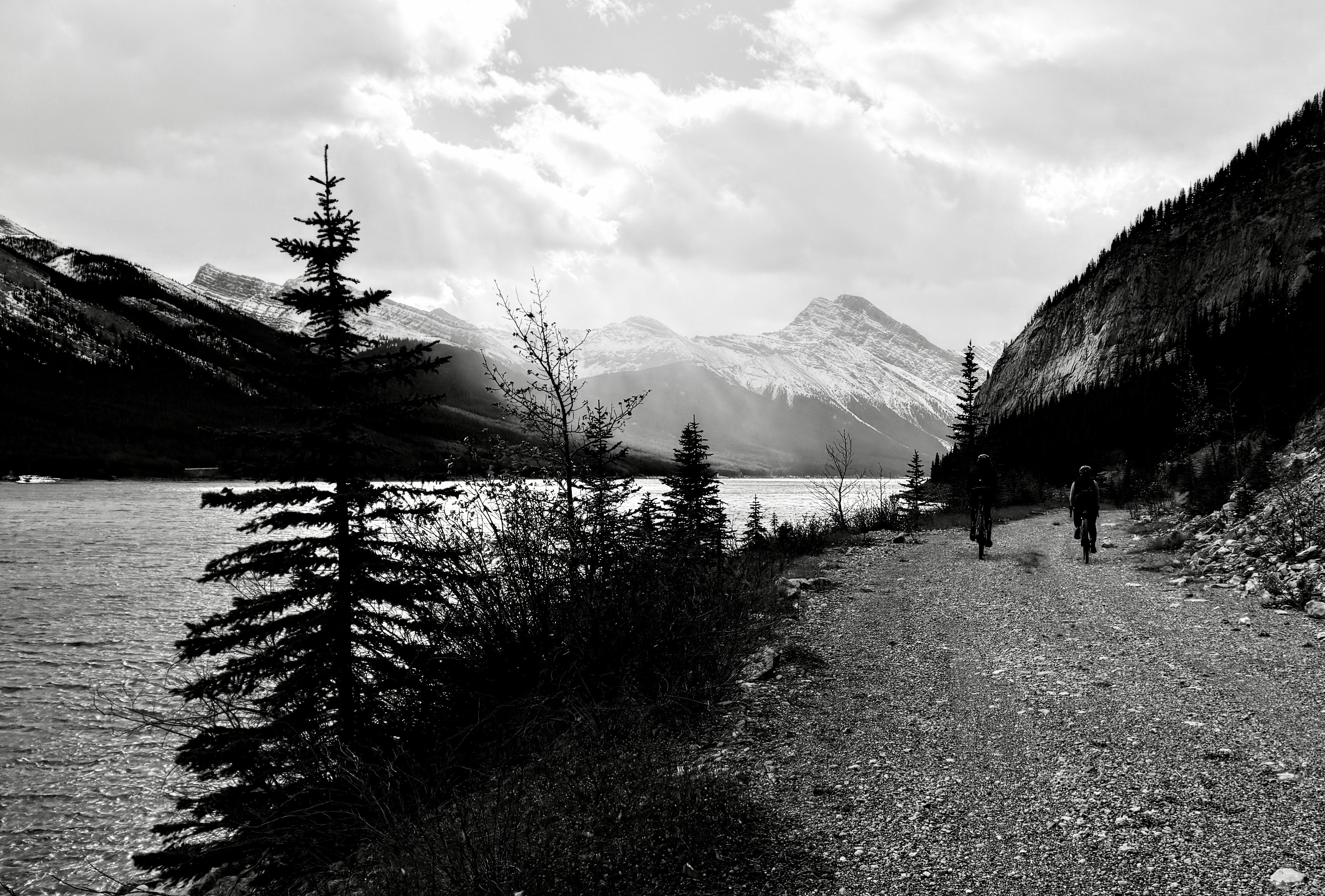 The Magic of Shared Suffering