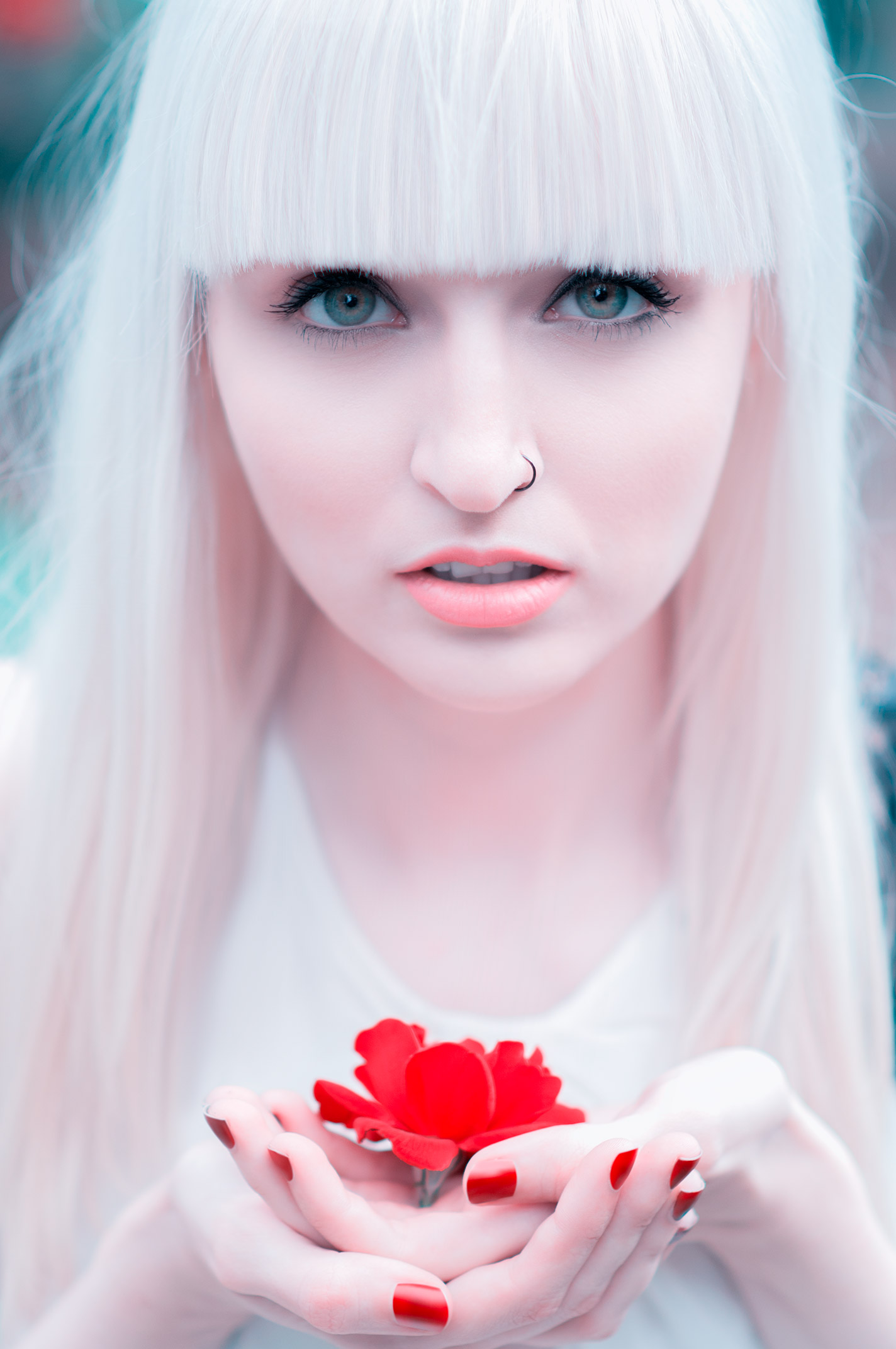 Retouched portrait of a pale woman with a platinum fringe holding a red flower in cupped hands (after)