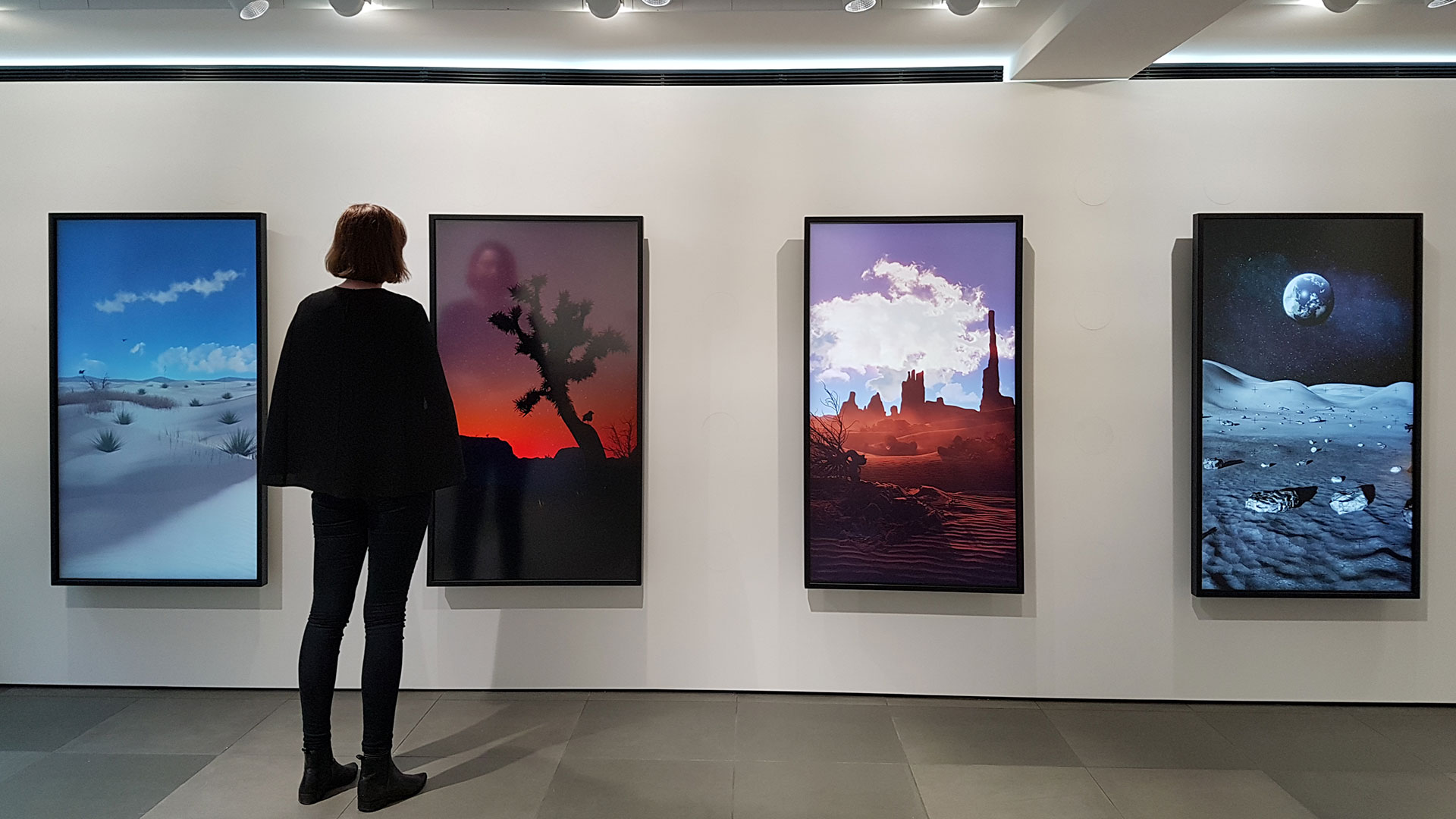 Metamorphosis Solo by Dominic Harris at Halcyon Gallery
