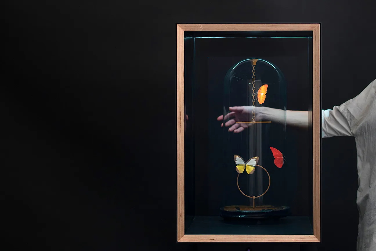 Flutter Hologram: Pendulum