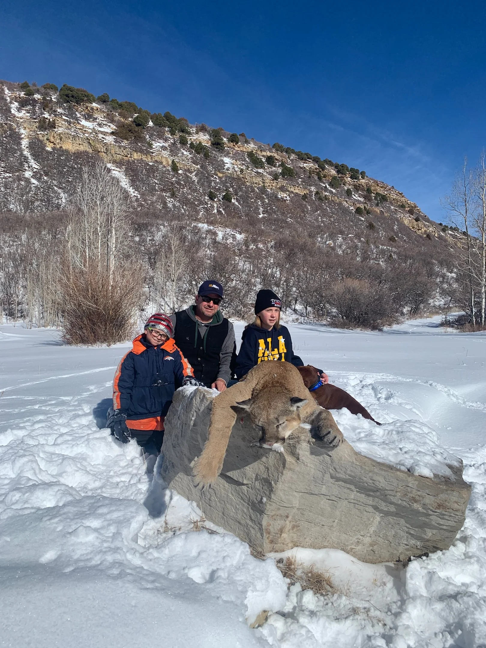 Two children and an adult in snow behind a large rock with a mountain lion resting on it.