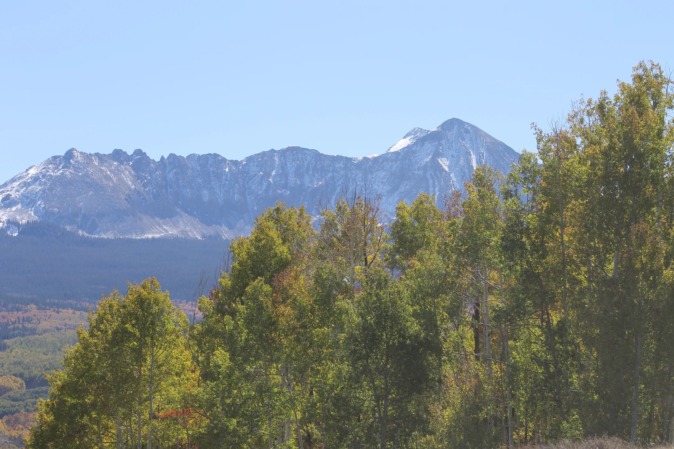Snow-capped mountain range behind green and yellow fall aspen trees under clear blue sky.