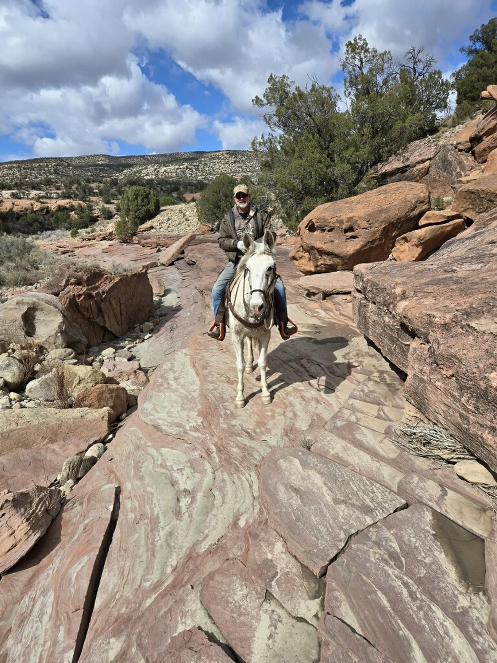 Man wearing a jacket and jeans riding a white mule on rocky terrain under a partly cloudy sky.