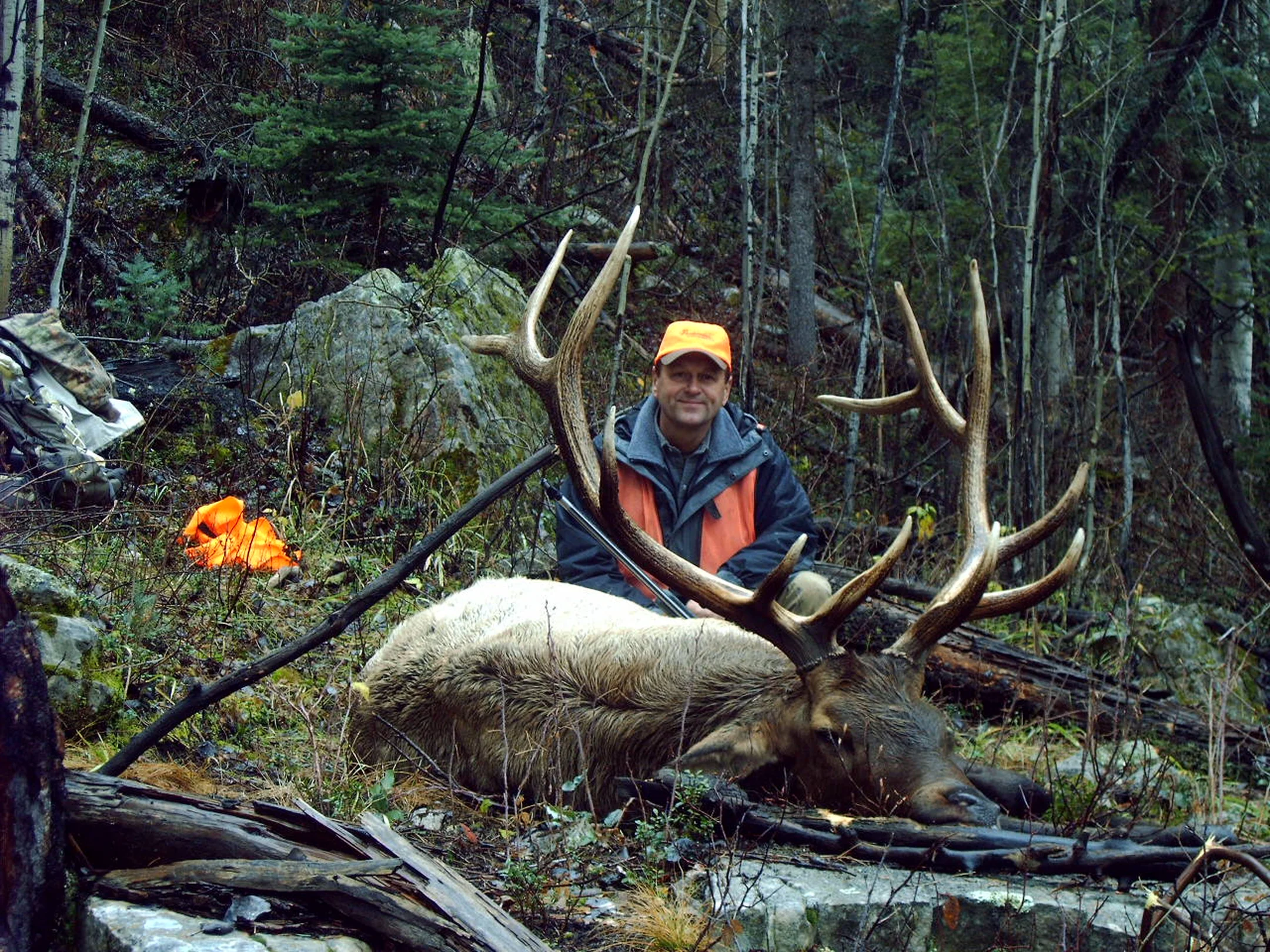 Hunter in orange hat and vest kneels behind large bull elk in forest with rocks and trees.