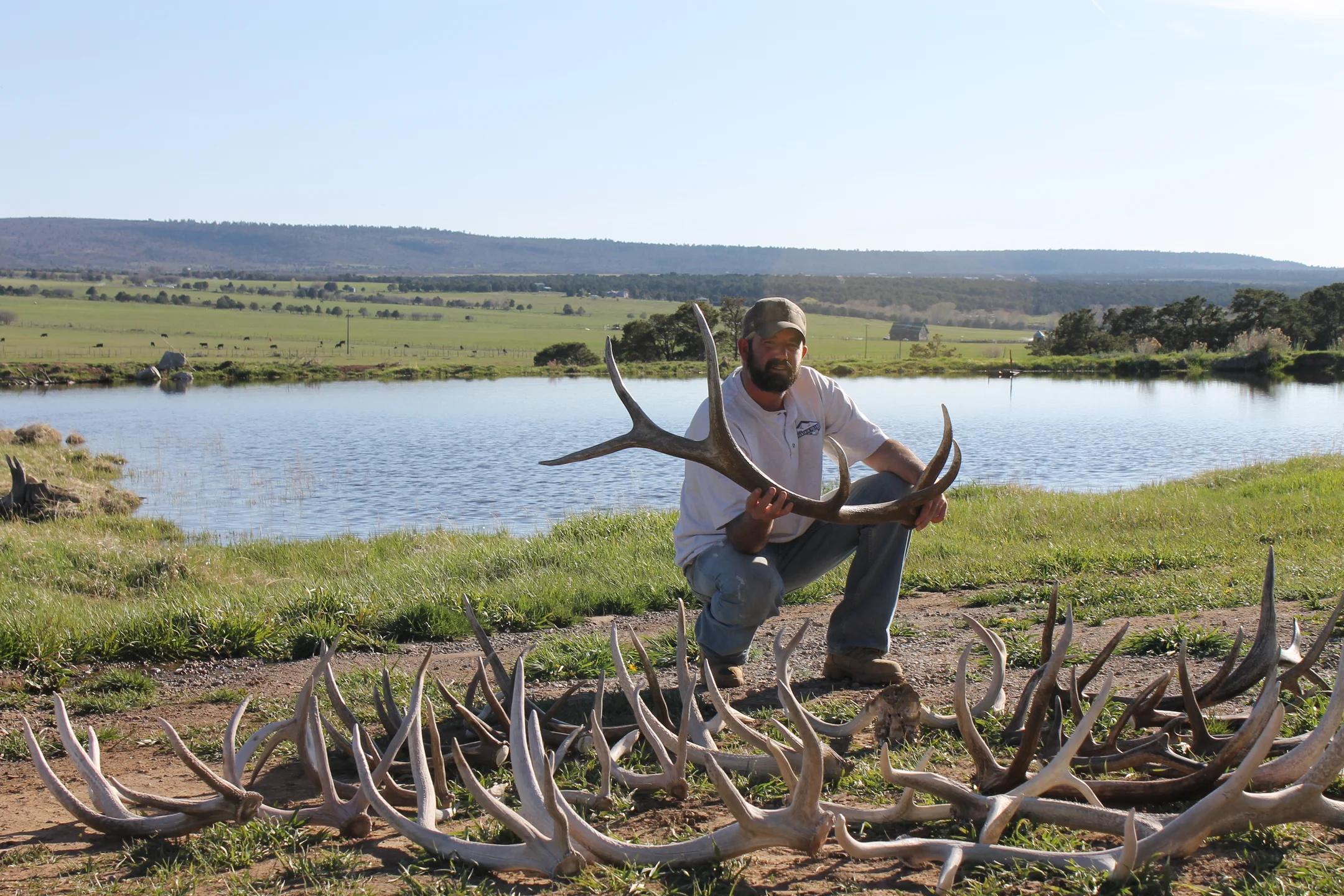 Man crouching by a pond holding a large elk antler with many antlers laid out on the ground.