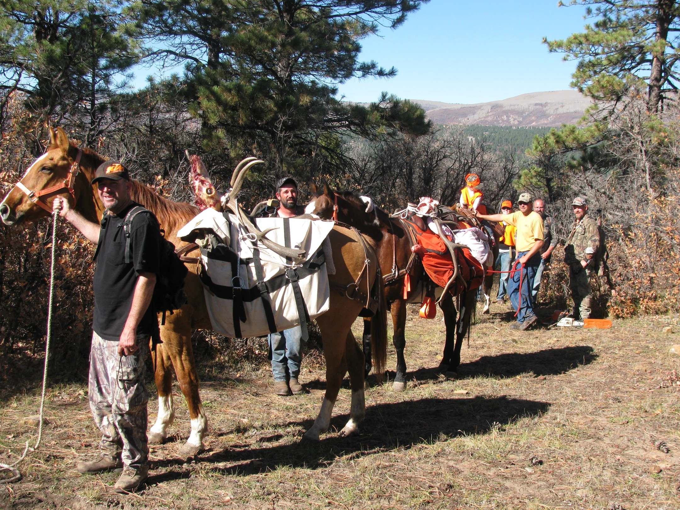 Group of hunters with pack horses carrying hunting gear and game on a trail in a forested area.