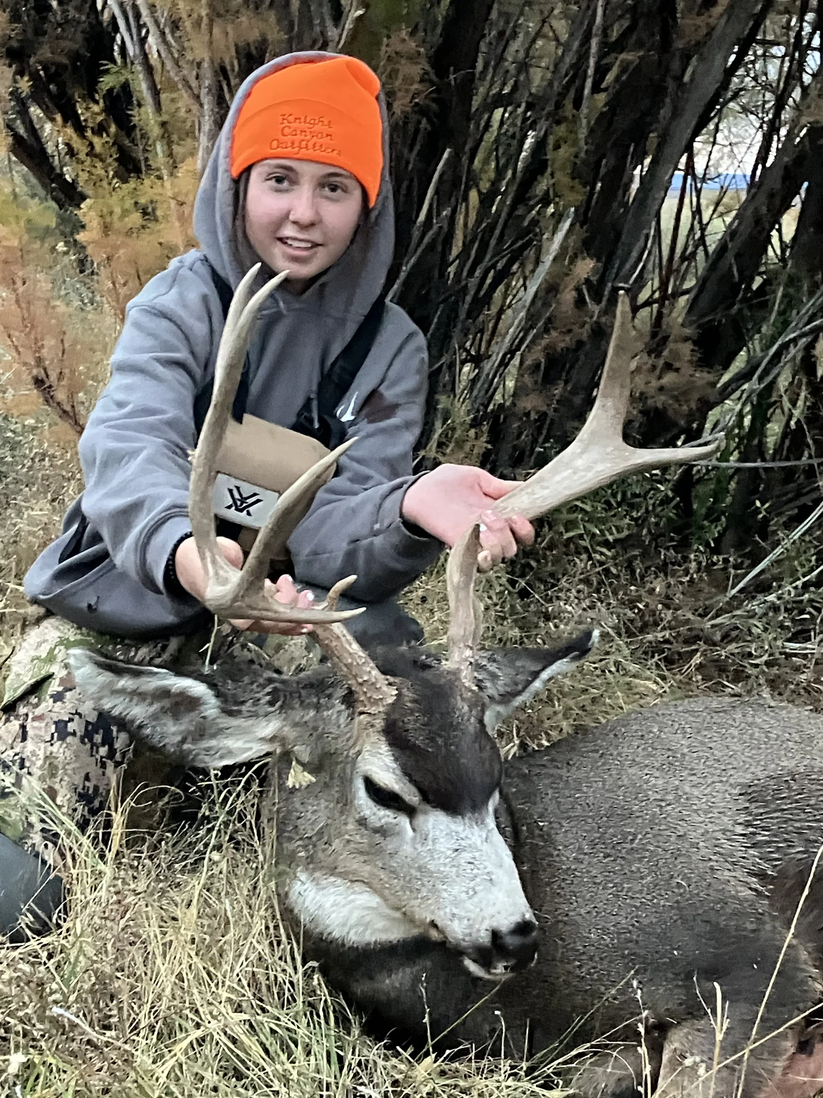 Person in orange hat holding antlers of large mule deer buck lying on grass.