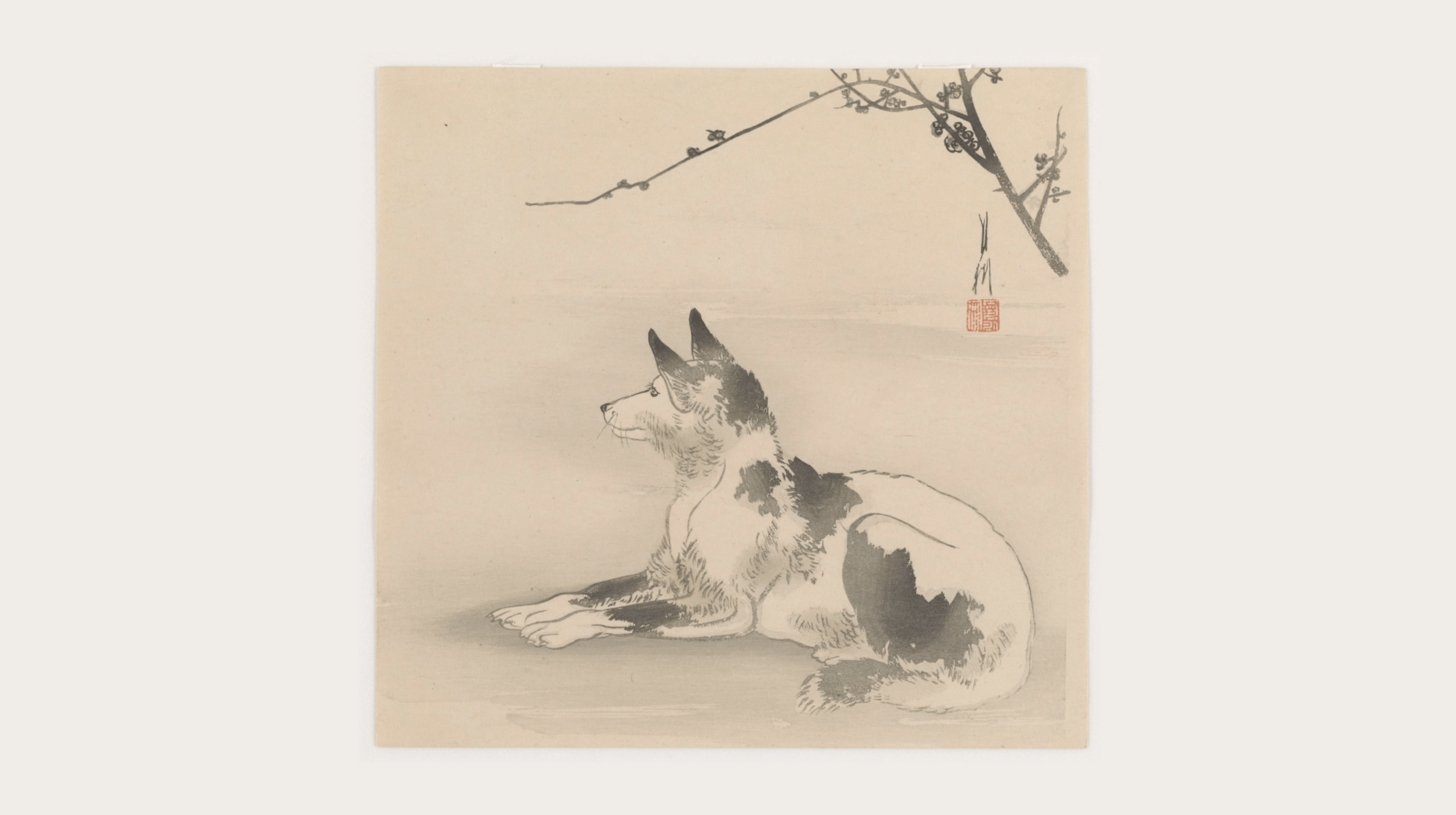 Ink painting of a black and white dog lying down, looking to the left, with a thin branch with buds in the top right corner.
