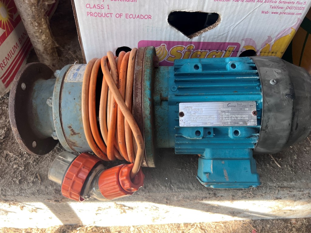 Motor