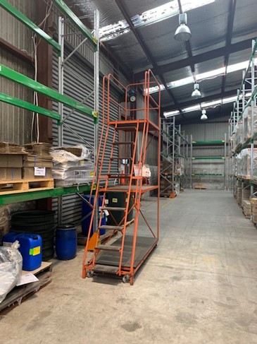 Platform Ladder