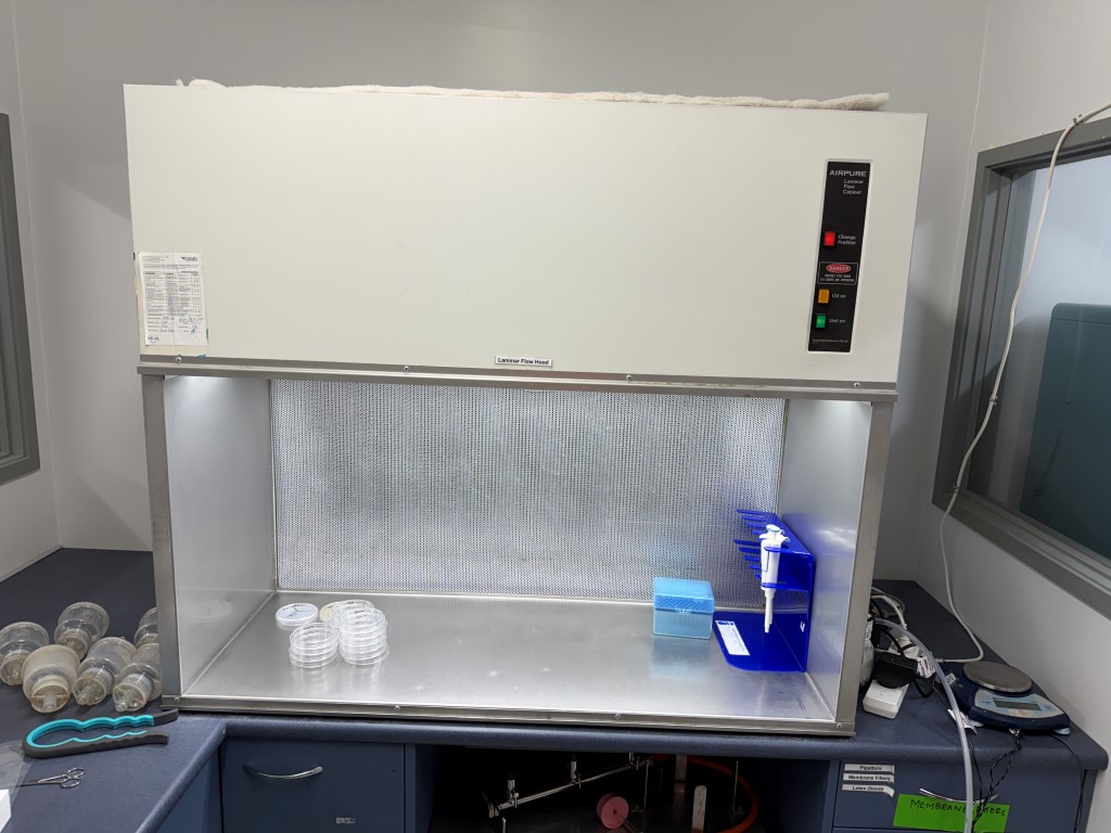 Laminar Flow Hood