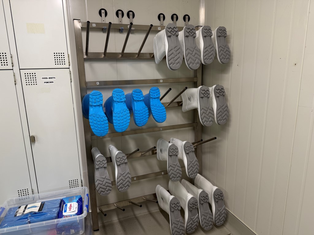 Gumboot Rack