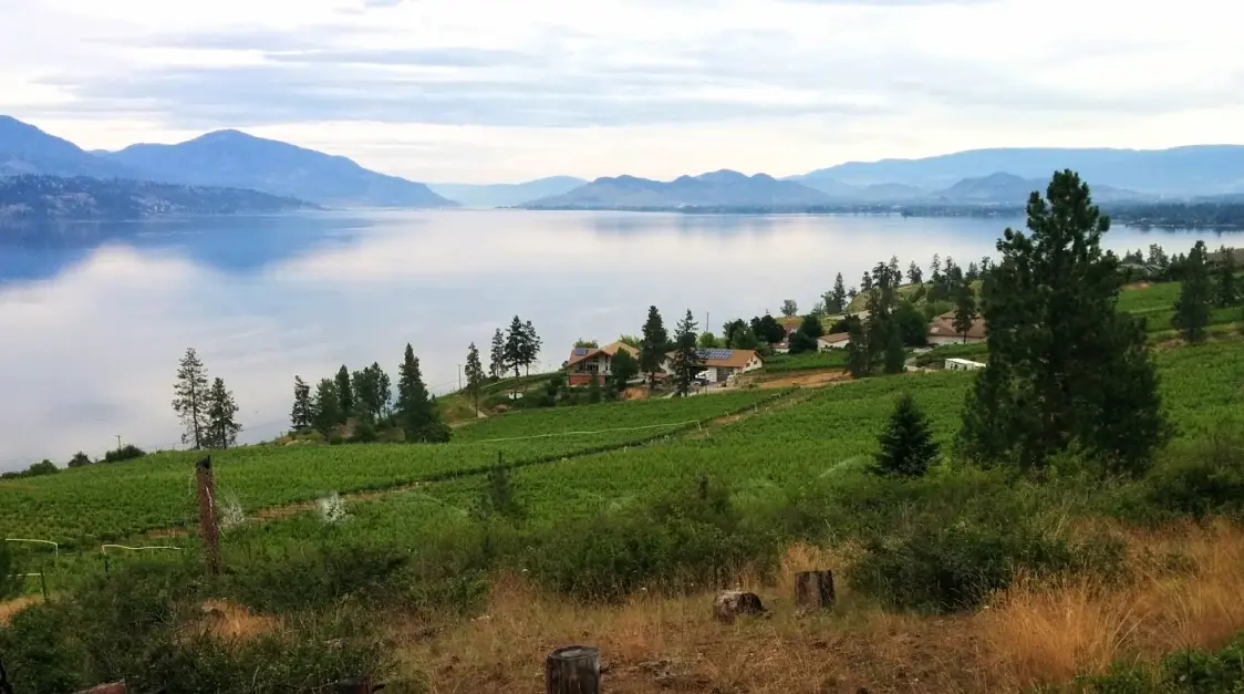 12 Best Coffee Shops in Kelowna You Need to Try!