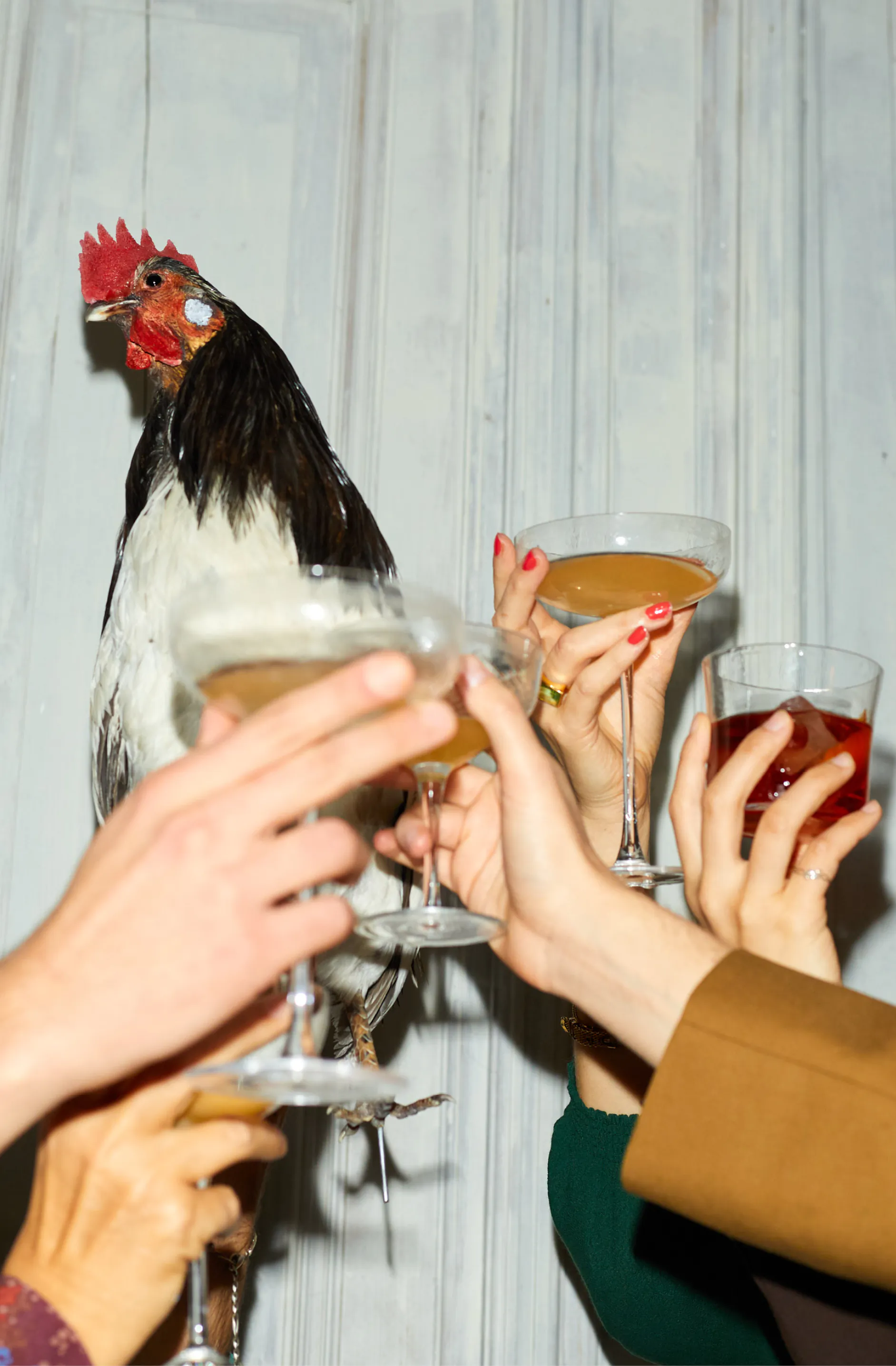 Lifestyle-Fotografie mit Drink Syndikat Hahn