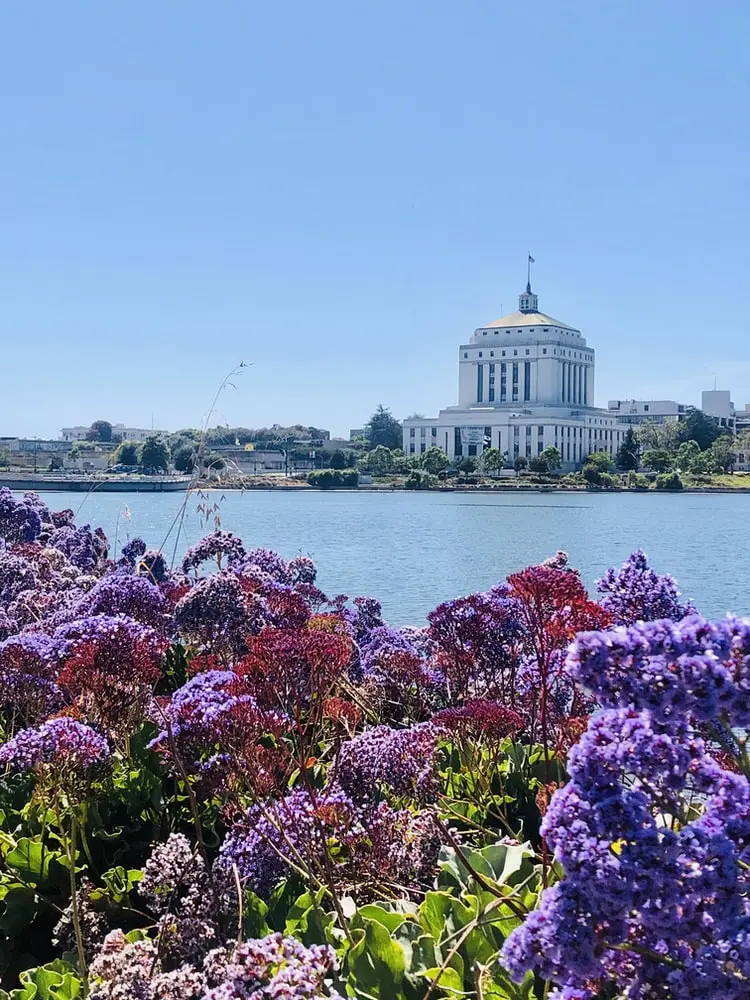 Oakland CA Move Management