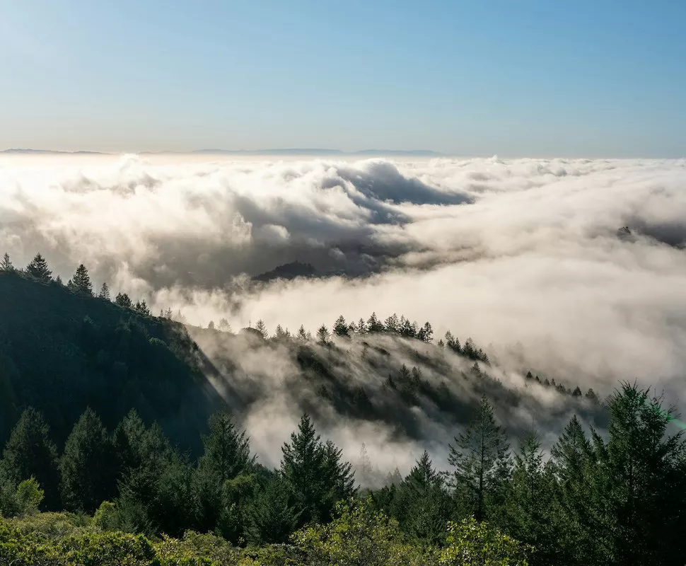 Bolinas Relocation Company