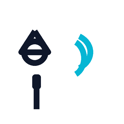 Hydrophone on a cable inside a pool detecting leaks via sound waves