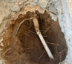 Pool leak detection showing broken underground pipe under deck Arizona.