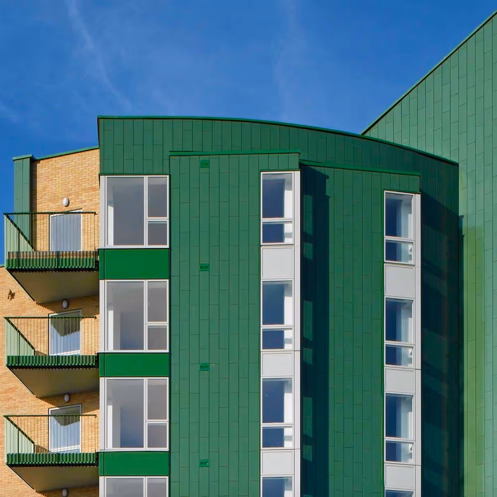 tonality-portrait-t-line